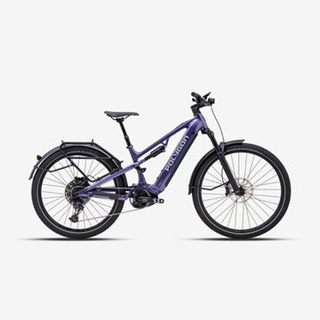 Picture of POLYGON SISKIU HE-P EU PURPLE 1x12 29
