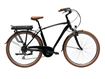 Picture of CICLI ADRIATICA NEW AGE MAN