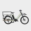 Picture of CICLI ADRIATICA CARGO LONGTAIL 24 GREEN