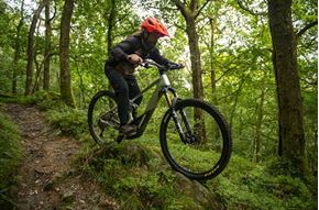 Picture for category E-BIKES