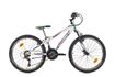 Picture of SPRINT CASPER 24, P.WHITE