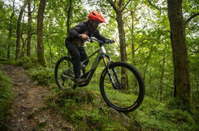 Picture for category E-BIKES